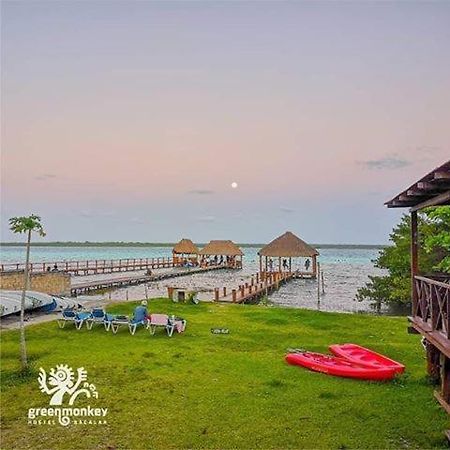 Green Monkey Hostel Bacalar Exteriör bild