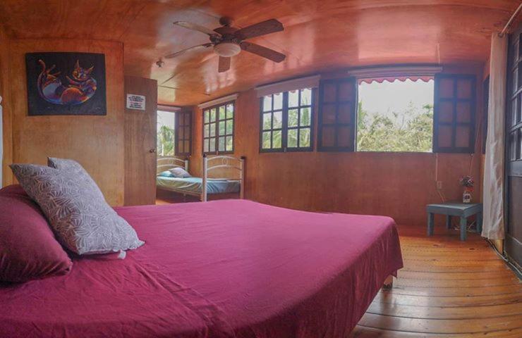 Green Monkey Hostel Bacalar Exteriör bild